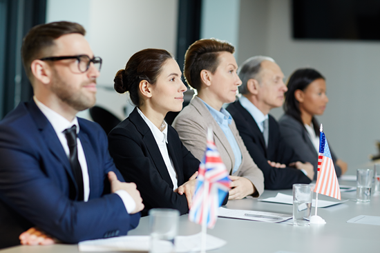 consultancy-for-public-sector