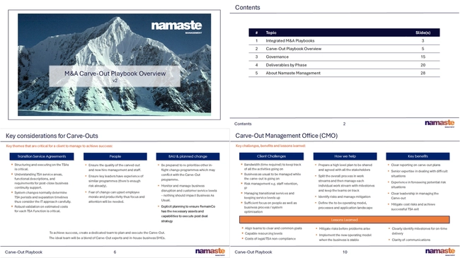 M&A Carve-Out Playbook Overview