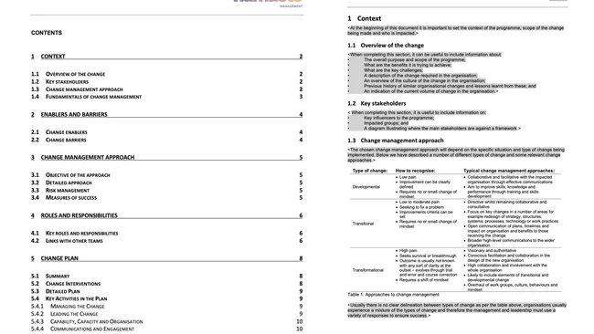Business Change Strategy & Plan