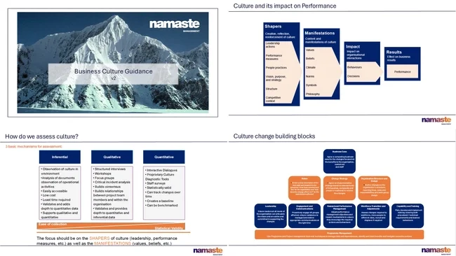 Business Culture Guidance