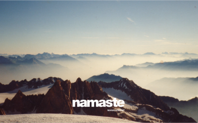 Navigating the Leadership Frontier: CEO Challenges & Benchmark