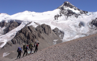 Navigating the People Frontier: Pressing Challenges & Strategic Responses for CHROs