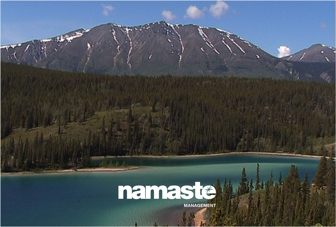 driving-business-growth